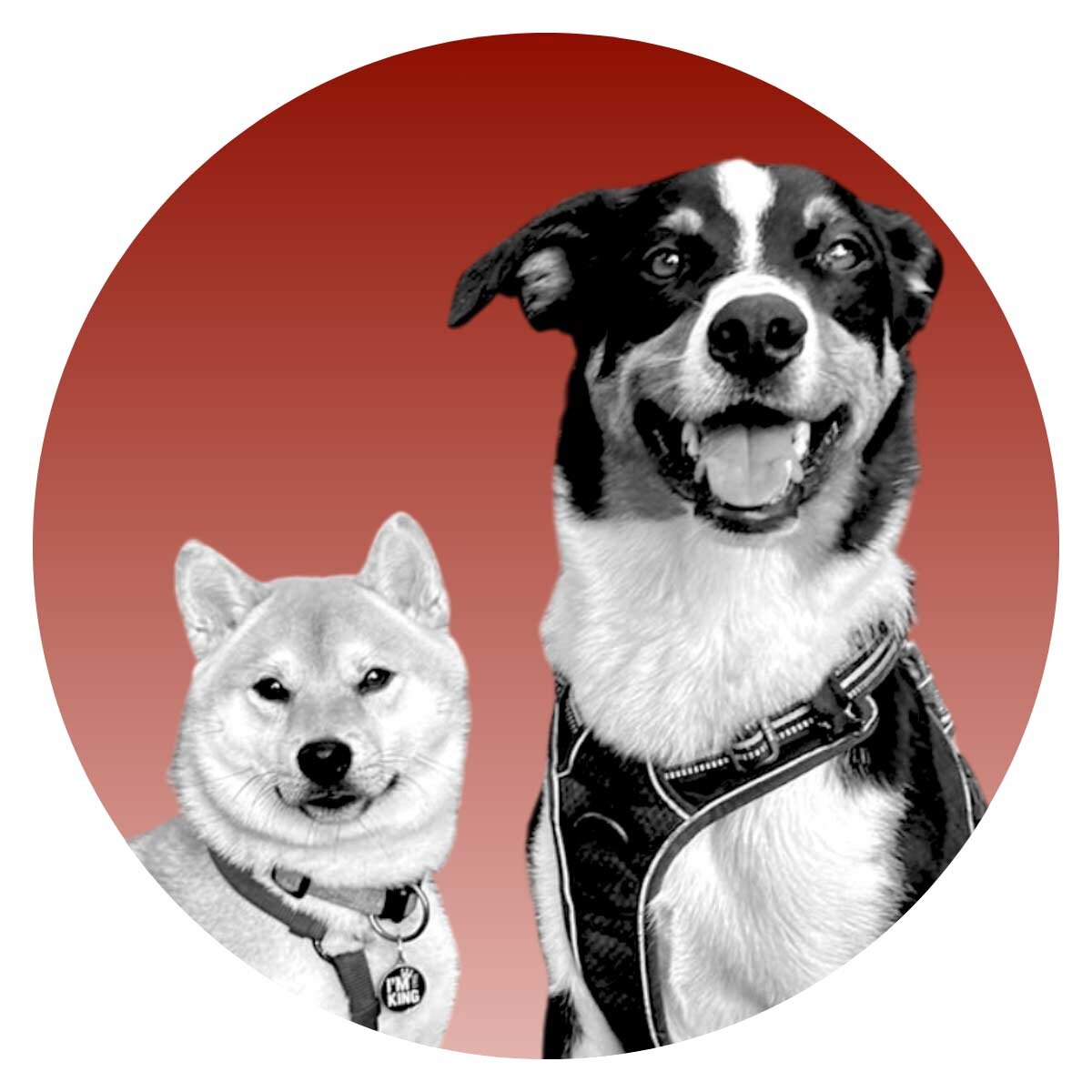 appa-pepper-lager-de