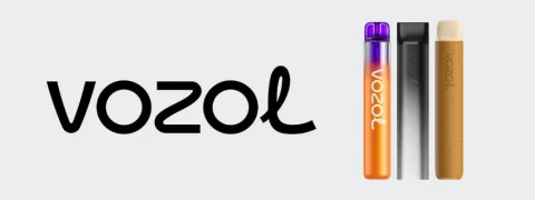 Vozol Vapes Schweiz kaufen – Vozol Einweg und Hybrid E-Zigaretten