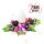 Vozol E-liquide sel de nicotine 20mg/ml Sour Berries