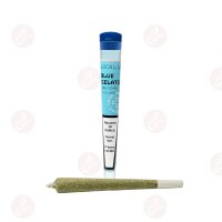 Local Weed - Preroll Joint - Blue Gelato