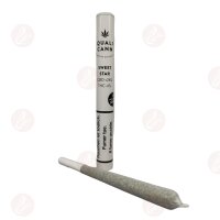 QUALICANN - CBD Pre-Rolled Joints