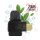Sikary - S10000 Pod Menthol