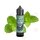 OWL Salt - Menthol Longfill 10ml in 60ml Flasche