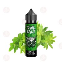 OWL Salt - Waldmeister Longfill 10ml in 60ml Flasche