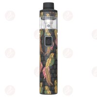 LYNDEN - VOX Skins Parrot