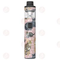 LYNDEN - VOX Skins Cats