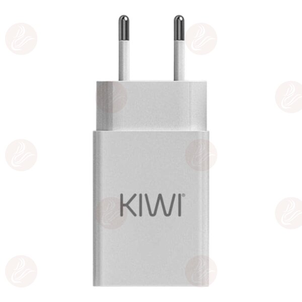 Kiwi Vapor - KIWI charging plug