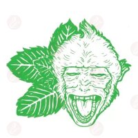 Heidis Liquids - Grüene Aff 50ml