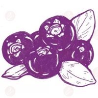 Heidis Liquids - Heidelbeeri 50ml