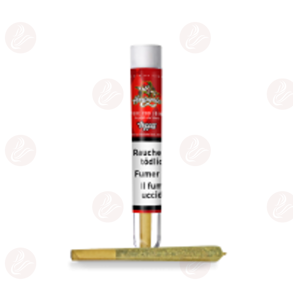 Nuggez - HarleQuin Prerolled Joint