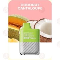 Vozol - Alien 3000 Coconut Cantaloupe Disposable