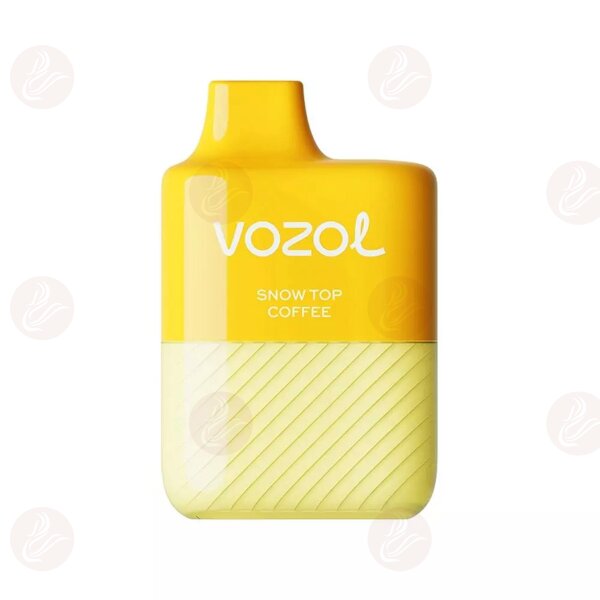 Vozol - Alien 3000 Snow Top Coffee Disposable