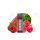 Elfbar - Elfa Pre-Filled Pod 2Pack - Raspberry Watermelon