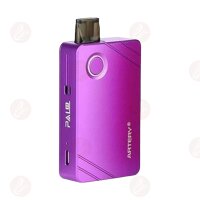 Artery - PAL 2 1000mAh Kit