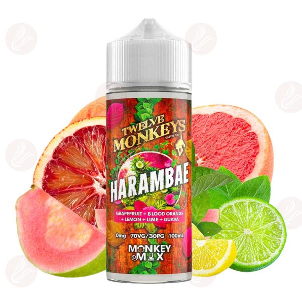 Twelve Monkeys - HARAMBAE 100ml