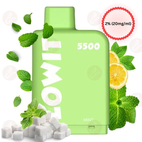 Elfbar - Lowit 5500 Pod prérempli Menthe