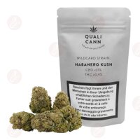 QUALICANN - Habanero Kush (WILDCARD STRAIN) 5.5g