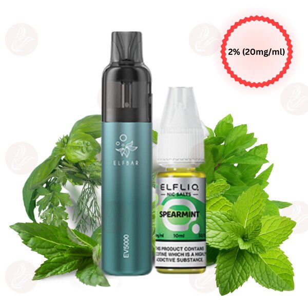 Elfbar - Starter Kit EV5000 ricaricabile alla menta