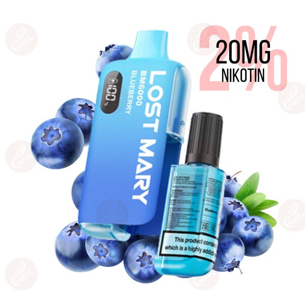 Lost Mary BM6000 Hybrid E-Zigaretten Kit Blueberry