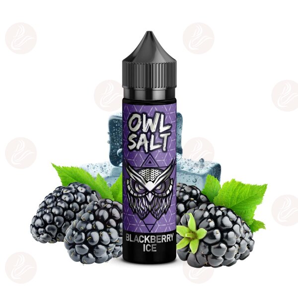 OWL Salt - Longfill 10 ml in flacone da 60 ml Blackberry Ice