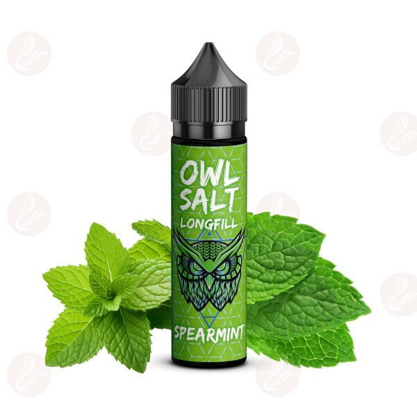 OWL Salt - Longfill 10 ml in flacone da 60 ml Menta verde